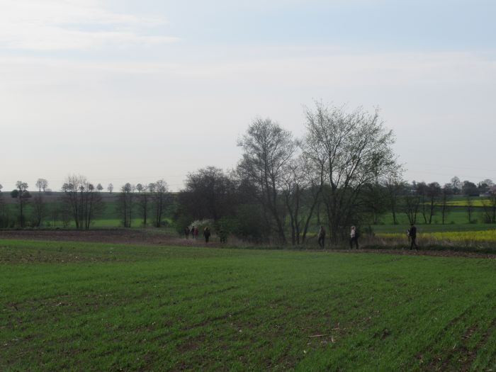 parów12.jpg